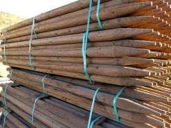 2.75 x 8 DF Round Tree Stakes, Phoenix Enterprises inventory