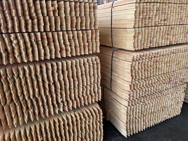 The pointed ends of 1