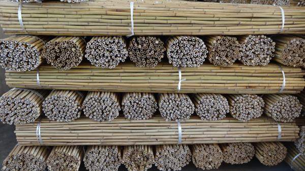 Bamboo Stakes