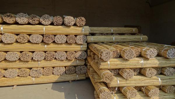 Bamboo Stakes