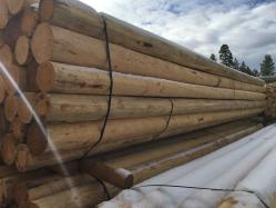 Hop poles drying at the mill