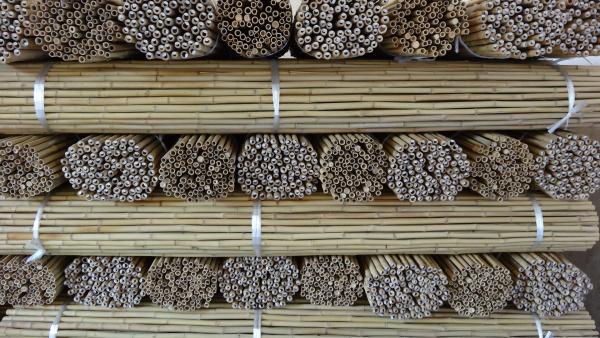 Bamboo Stakes