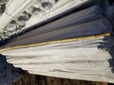 Bamboo Stakes