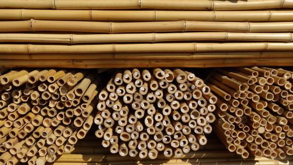 Bamboo Stake bundles