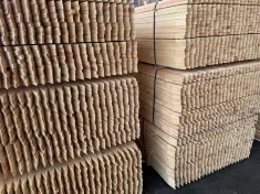 The pointed ends of 1" x 2" nursery stakes milled from douglas fir wood